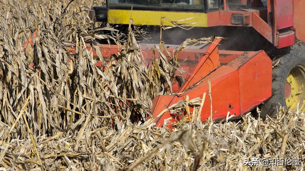 农村最缺的3个生意,也是未来农村“暴利”行业,现在下手还不迟