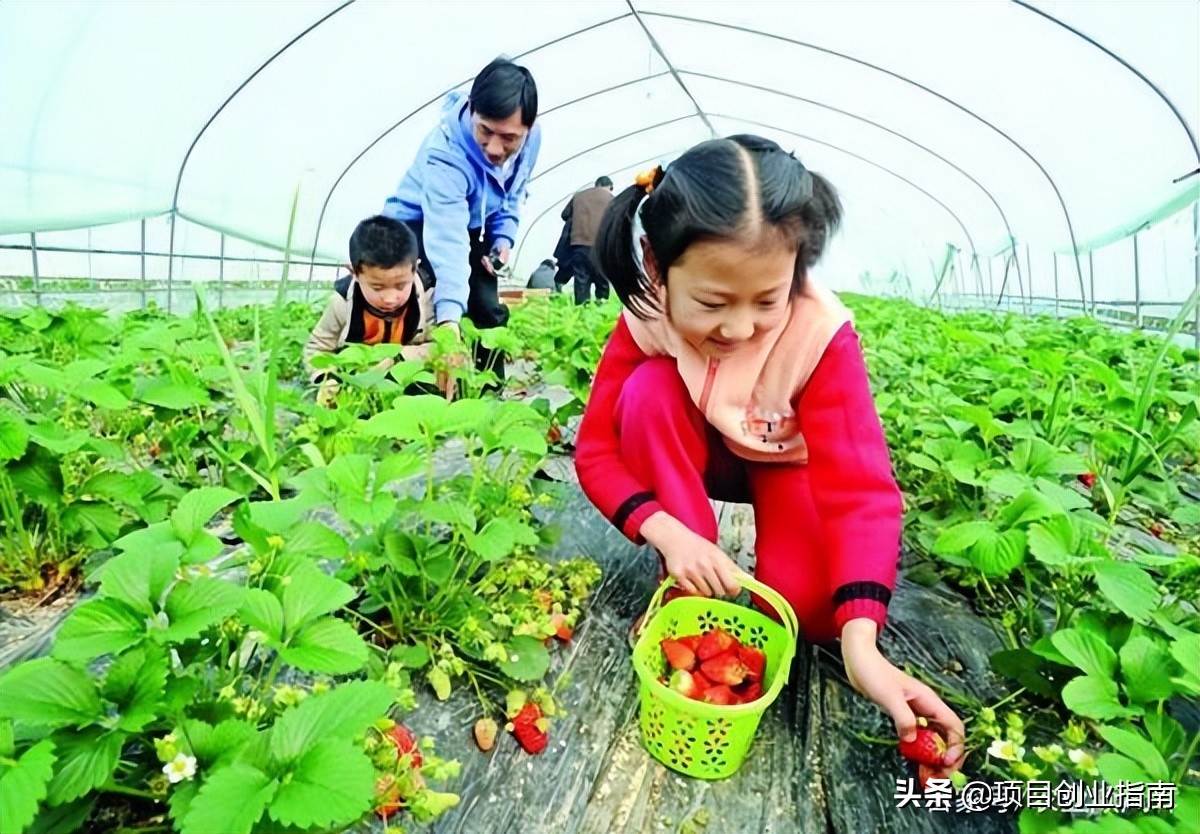 冷门赚钱小生意,市场前景好,想要创业的建议看完这篇文章