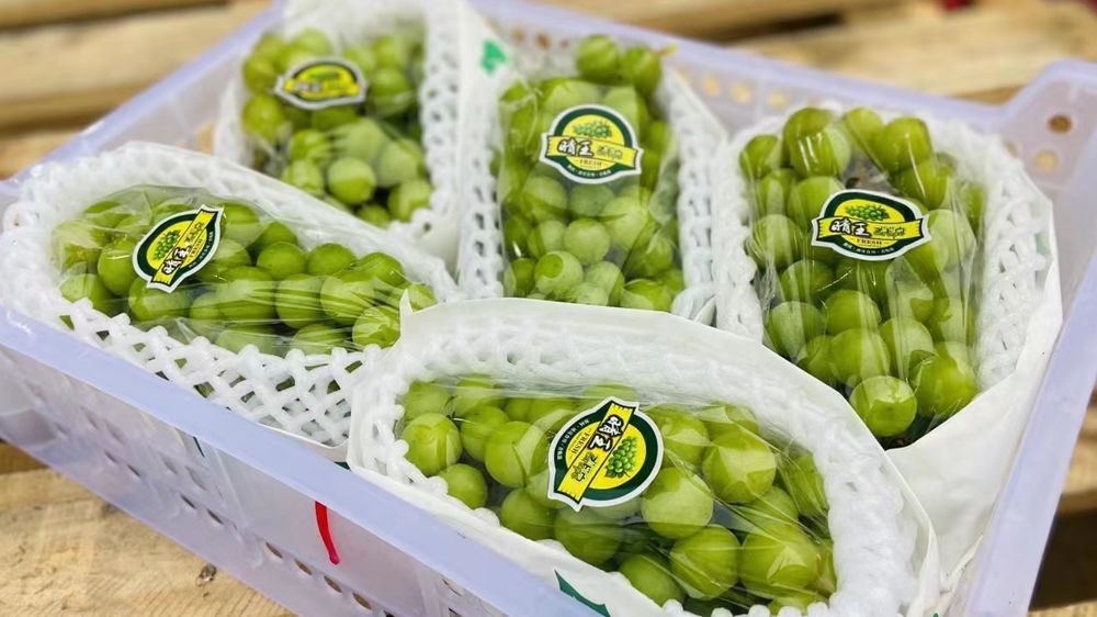 开水果店成本怎么样,开个水果店的成本