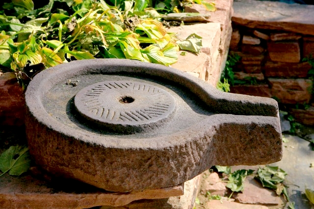 干货分享:乡村振兴中最赚钱的20个农村创新项目,成本低、见效快