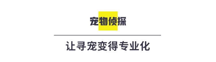 宠物经济:在日益细分的市场中寻找有潜力的新生意