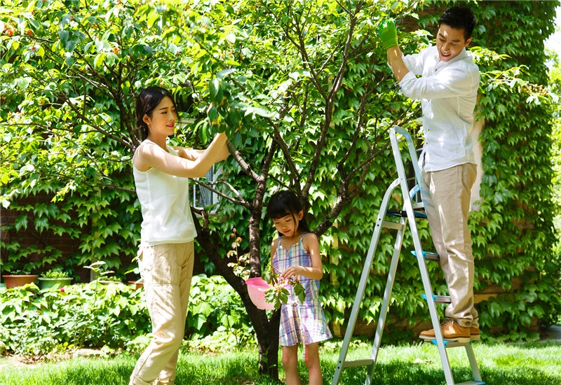 42岁的人，不想一辈子打工了，回农村有哪些小投资的创业项目？