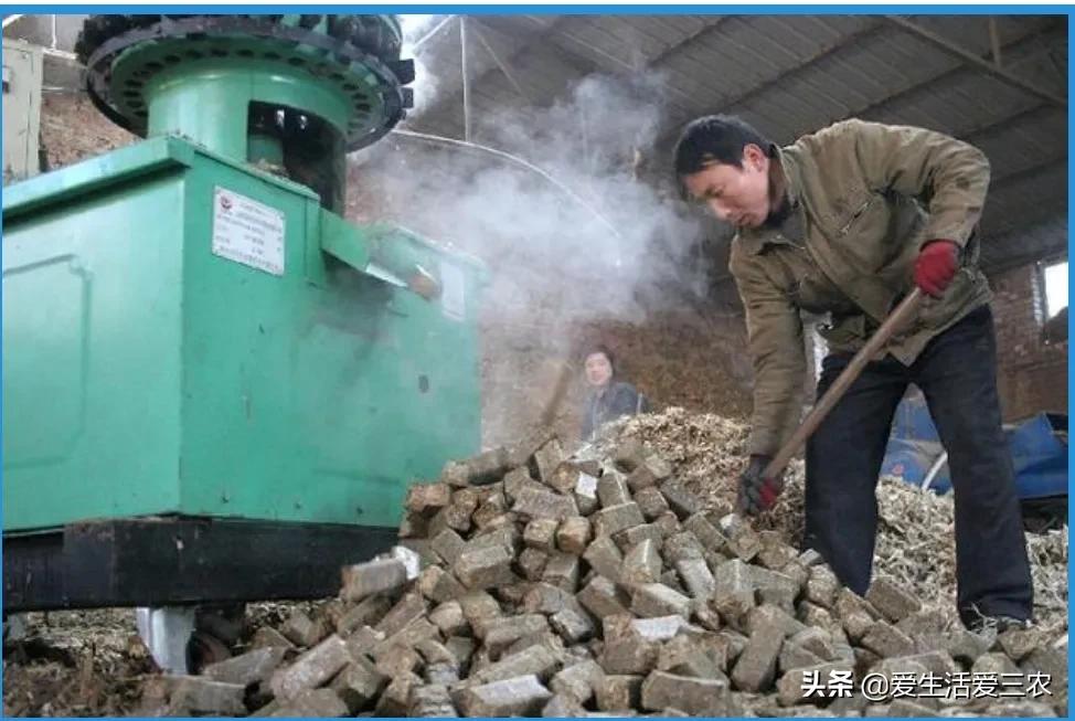 农业小项目,也能挣大钱,这些偏门小生意原来真的很挣钱!