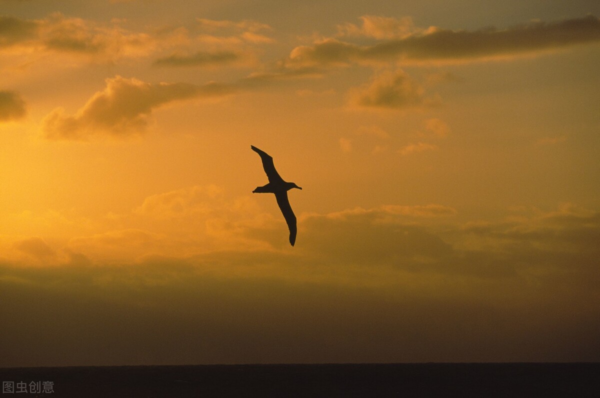 没什么,普通人也可通过自我精进和自主创业,走向自由生活之路