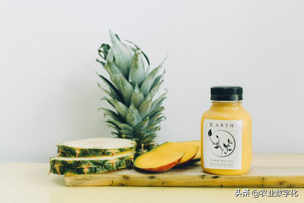 看过来,新型农业经营主体有这些(附新模式)