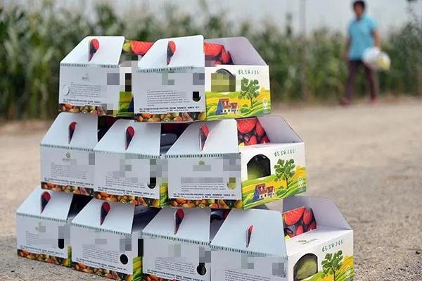 分享三个几乎没人愿意做,却很赚钱的农村项目