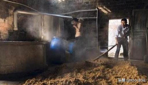 农村创业种啥养啥赚钱快?这22个农村创业项目,总有1个适合你