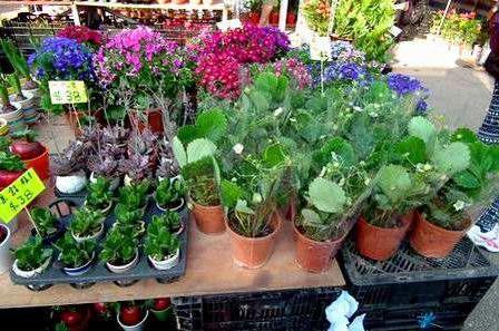 一两千块钱能做什么生意？这几个小项目能快速赚钱，值得一试