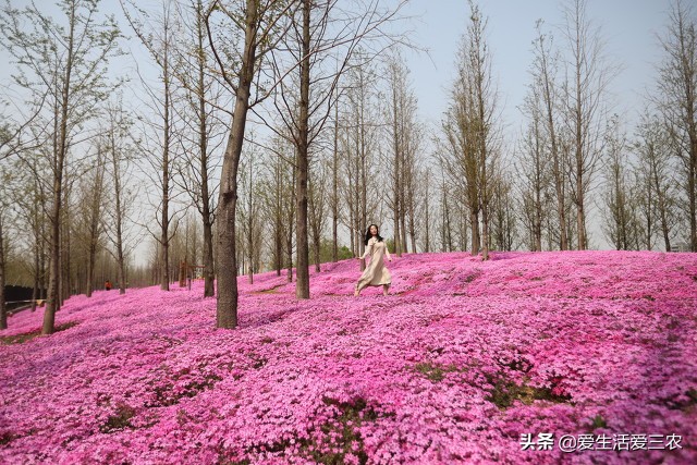 推荐几个藏在农村，不起眼的小项目，从业者都在闷声发财