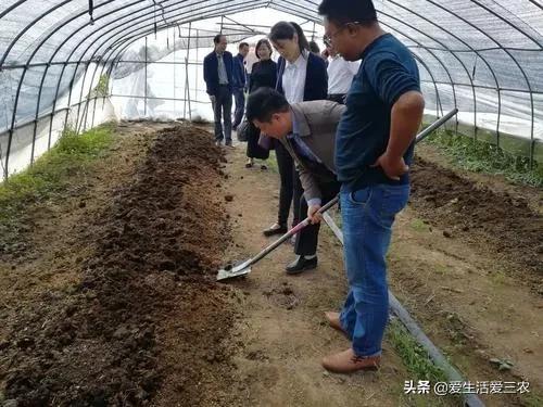 推荐四个农村低成本创业项目，门槛很低，最低投资只需千元