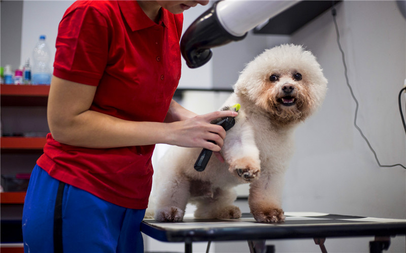 现在投入10万元开实体店,选择哪些项目,每月能稳妥收入一万多?