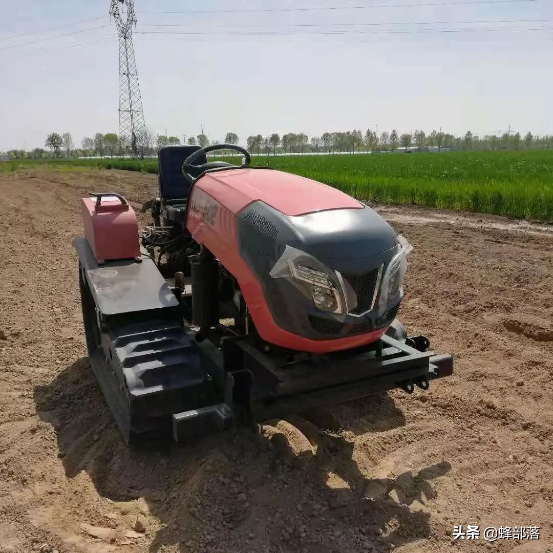 在农村，投资哪些项目可以赚钱？这9个项目，或许正是你想要的