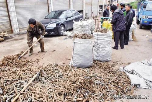 八大农村紧缺行业,的确利润高,想赚钱的来学