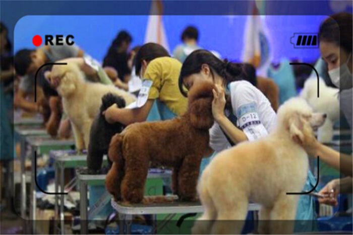 当下实体小店开什么好？比较好容易操作的小型实体店项目-专在家创业网