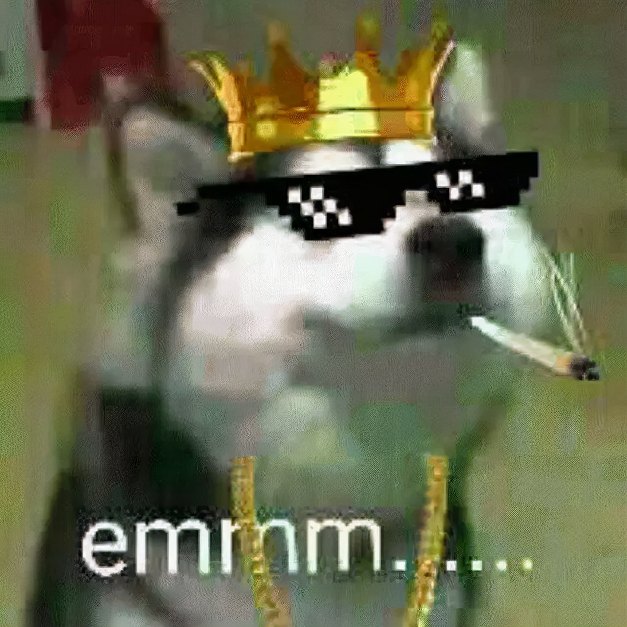 计算机网络太难？如何系统自学计算机网络？