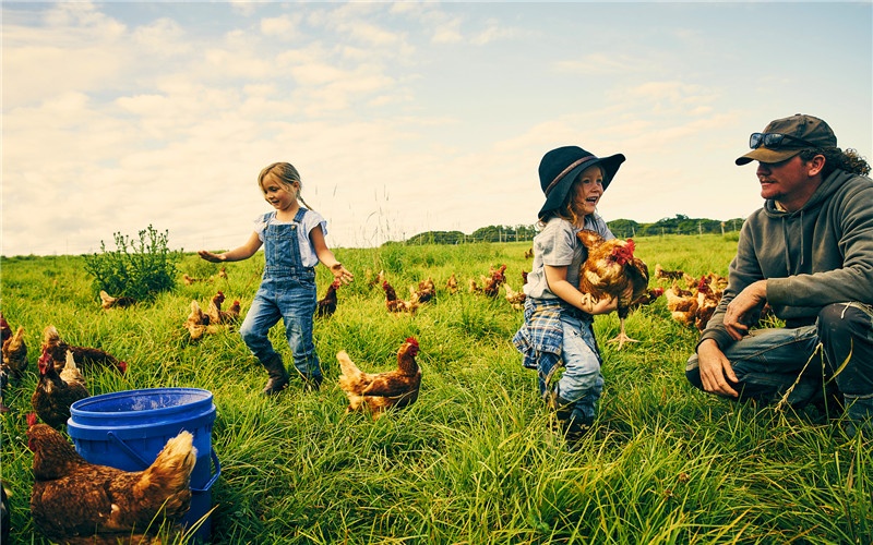 农村大片荒芜的土地,隐藏着哪些创业商机?这几方面