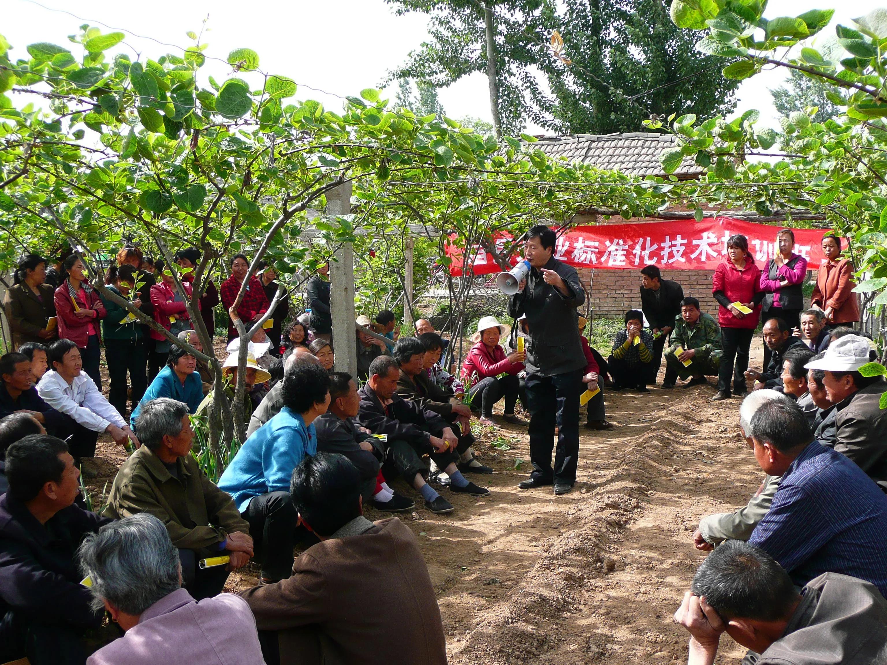 目前农村缺少什么行业？是什么原因造成的？一文说清