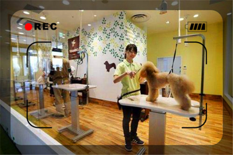 目前经济形势下，开什么样的实体店比较稳妥呢？推荐几个供参考