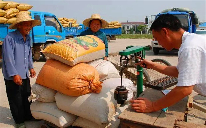 2022年,农民要是不外出打工,在农村有哪些致富的门路?