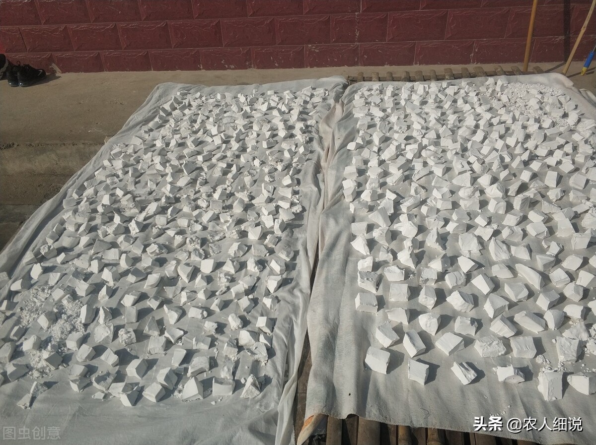 盘点2021年农村创业致富的三个好项目