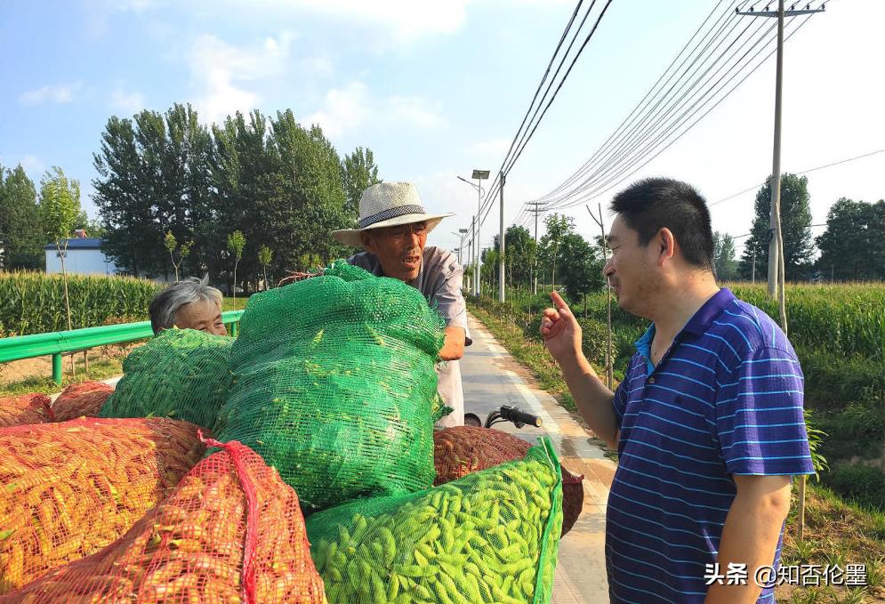 打算回农村创业，做哪些项目比较“稳妥”?听听投资人的建议