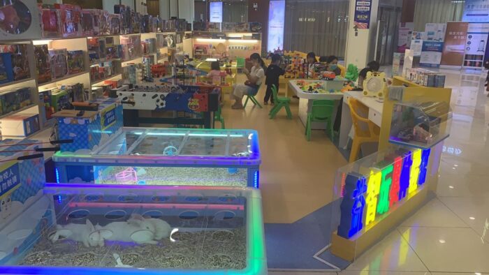 开玩具店有哪些需要注意的(儿童益智玩具加盟馆需要注意事项)-专在家创业网