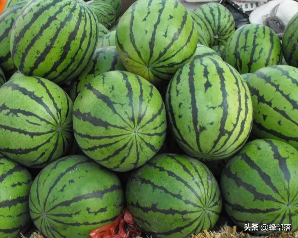 2021年农村发展,这些项目投资不多利润高,管理好赚50万是可能的