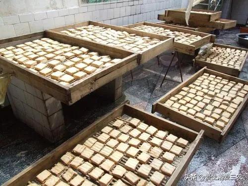 不需要技术、不需要很多本钱的农村项目有哪些?