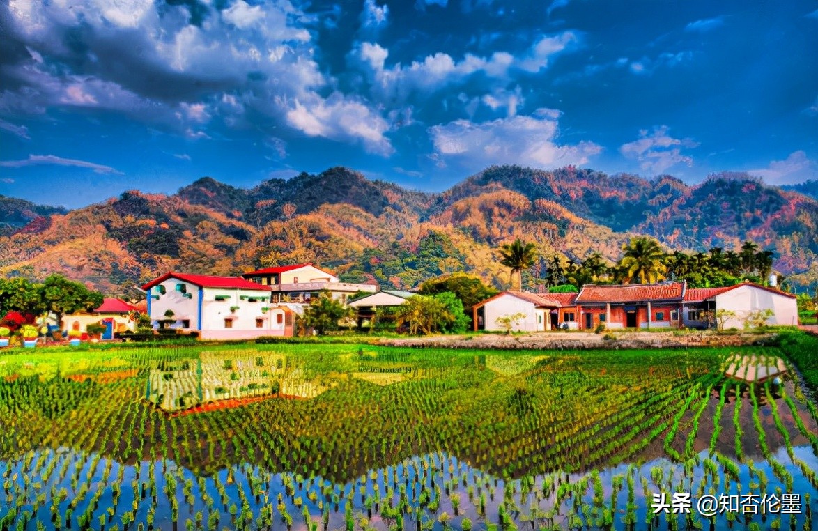 现在农村干什么容易致富？这几个有“钱途”的项目，你值得一试