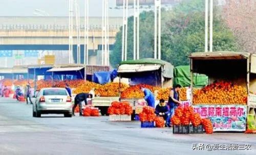 不需要技术、不需要很多本钱的农村项目有哪些?