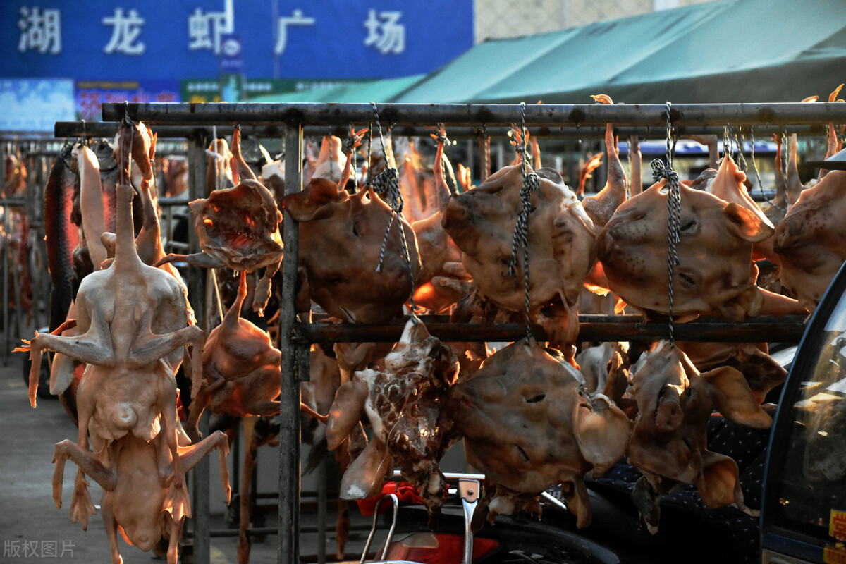 适合农村的六个小型加工厂项目,适合你的才是最好的