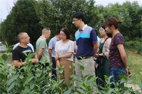 返乡创业有哪些优势?选定项目后如何入手?附十个传统好项目