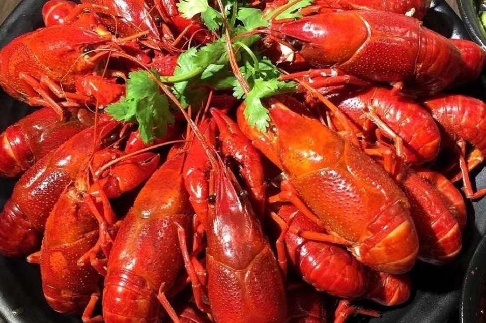 王霄鹏和你分享:如何从零开始,开一家成功的烧烤龙虾店?