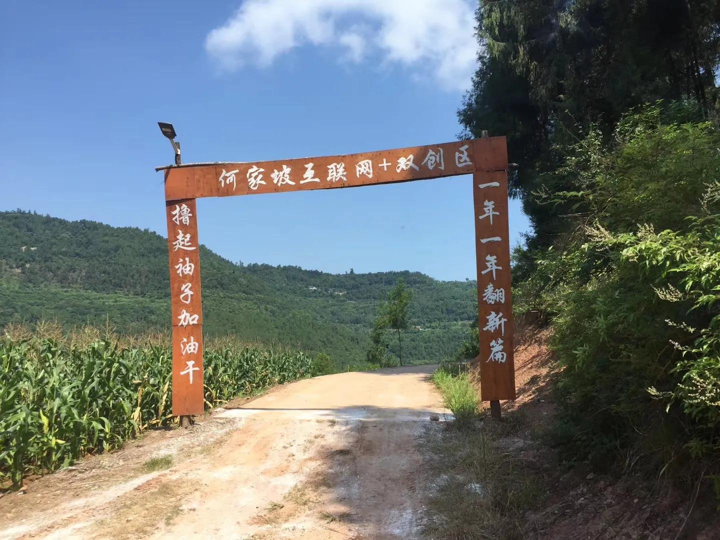 干货分享:乡村振兴中最赚钱的20个农村创新项目,成本低、见效快