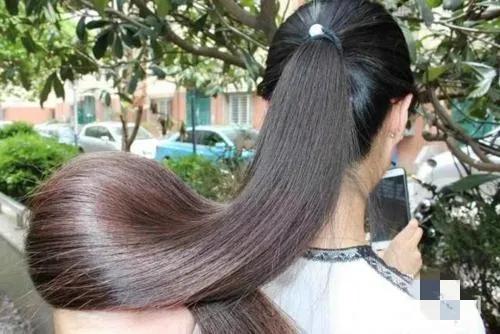 200个农村创业项目(11):藏在农村的高利润项目大分享