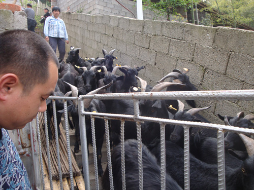 农村有4个行业的缺口,适合有胆识的人创业开发,潜力看好