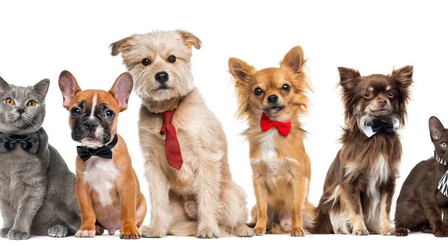 县城或者乡镇创业,有什么好项目?