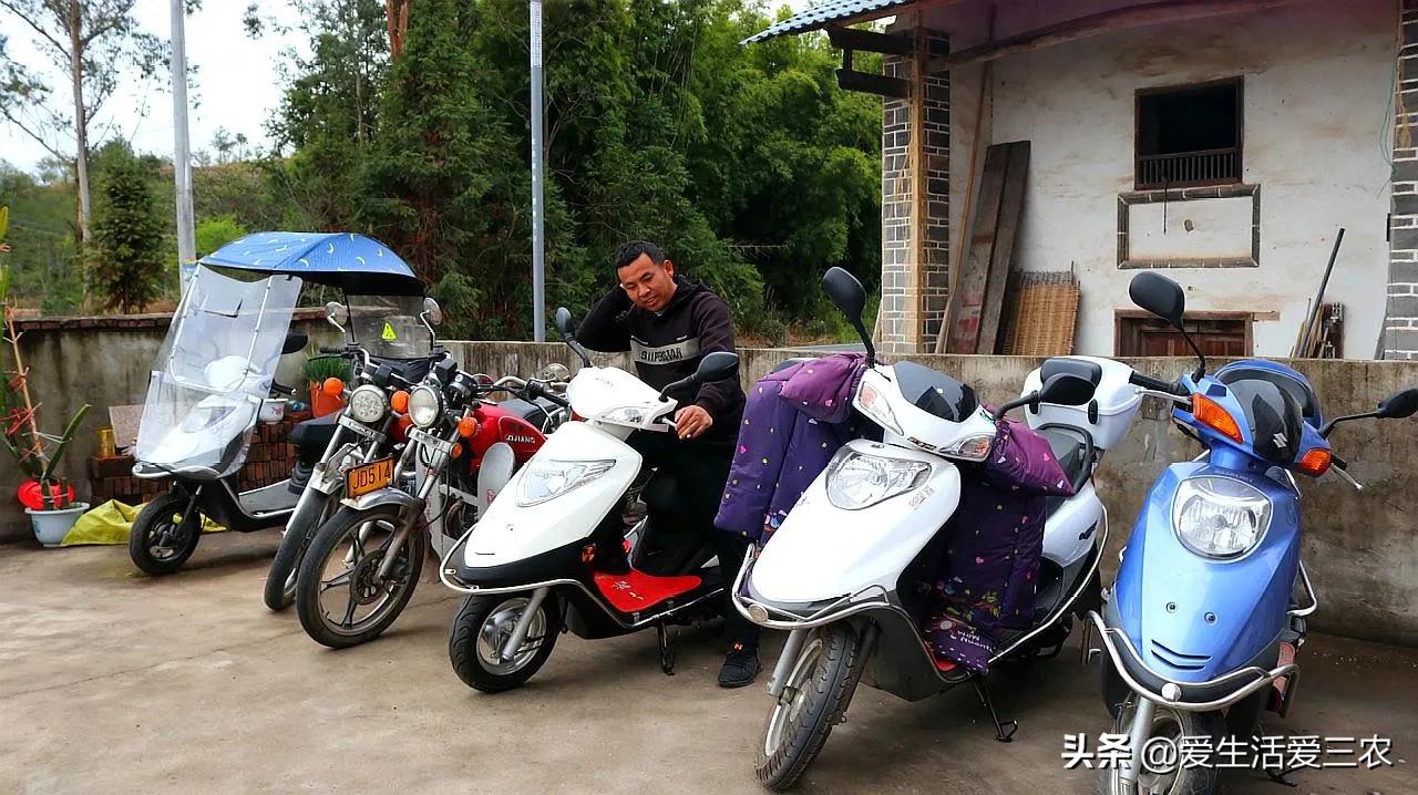 农业小项目,也能挣大钱,这些偏门小生意原来真的很挣钱!