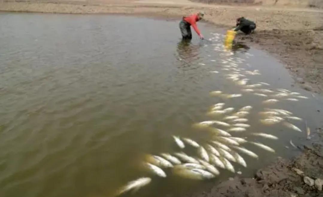 农村创业要注意什么？你想知道的答案全都在这里，看看不吃亏