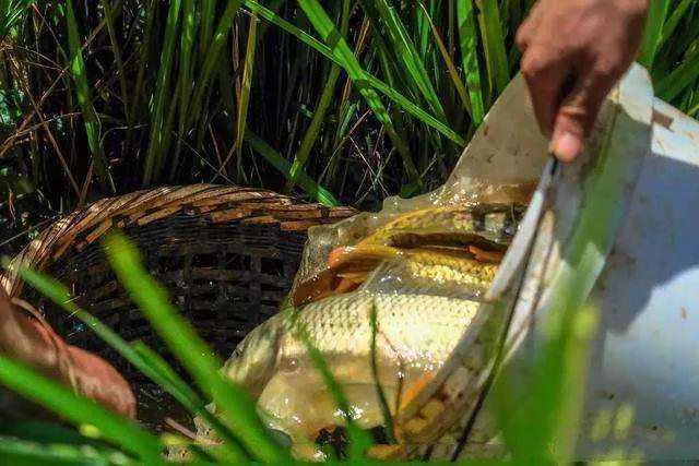 在农村怎么做生意赚钱