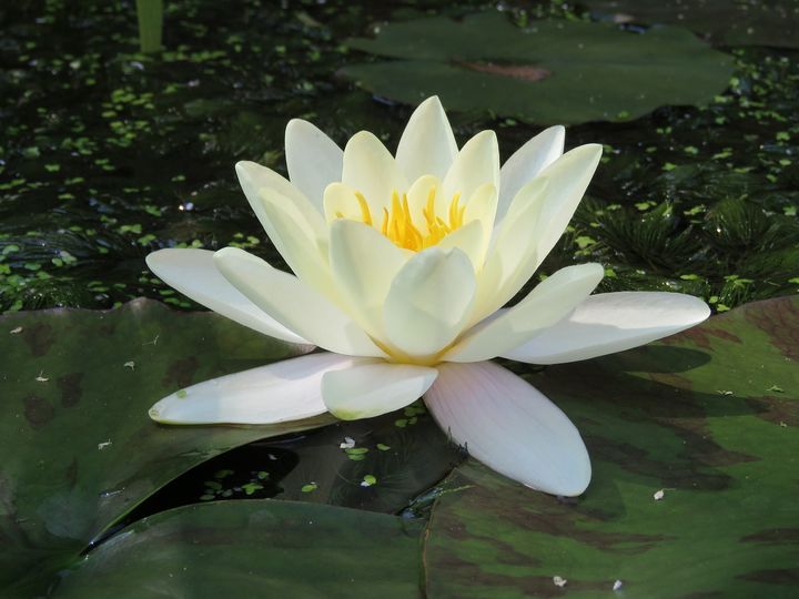 如果你想独自创业你需要具备哪些能力?