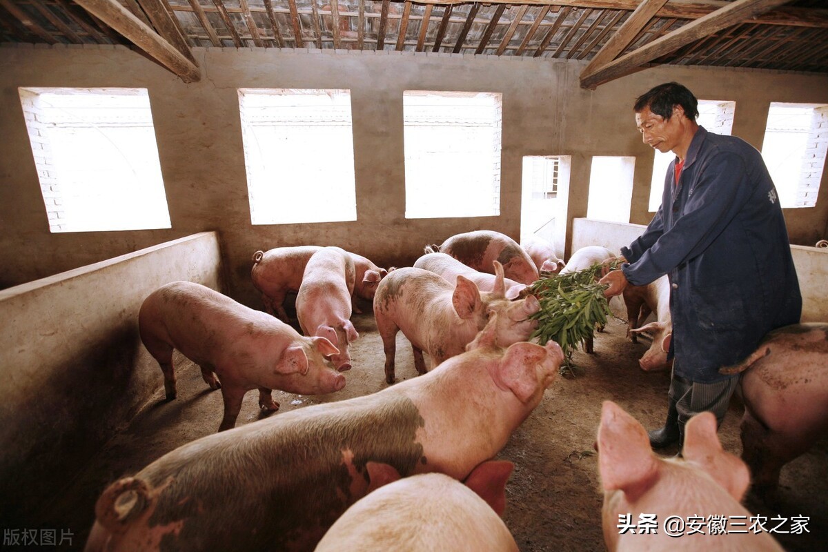 没钱还想返乡创业？这几点都是我多年的经验，今天分享给大家