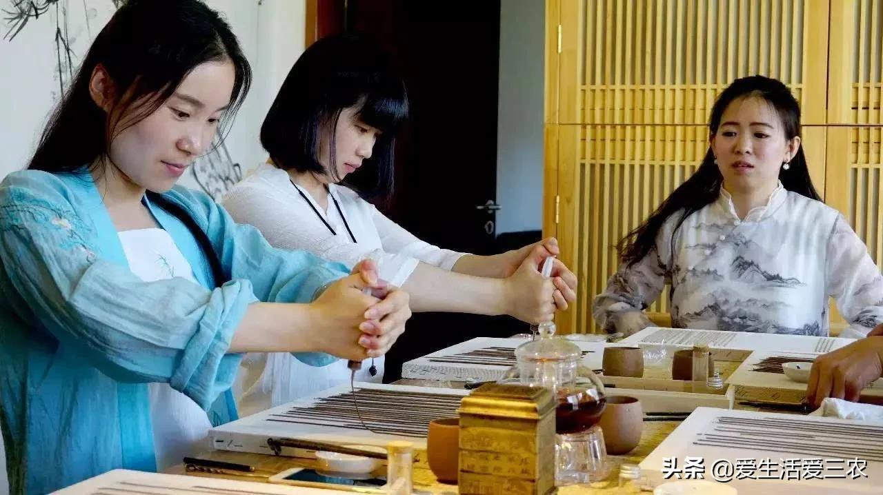 农业小项目,也能挣大钱,这些偏门小生意原来真的很挣钱!