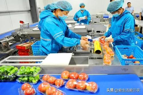 分享五个农村深加工项目,投资低、回报高,创业好选择