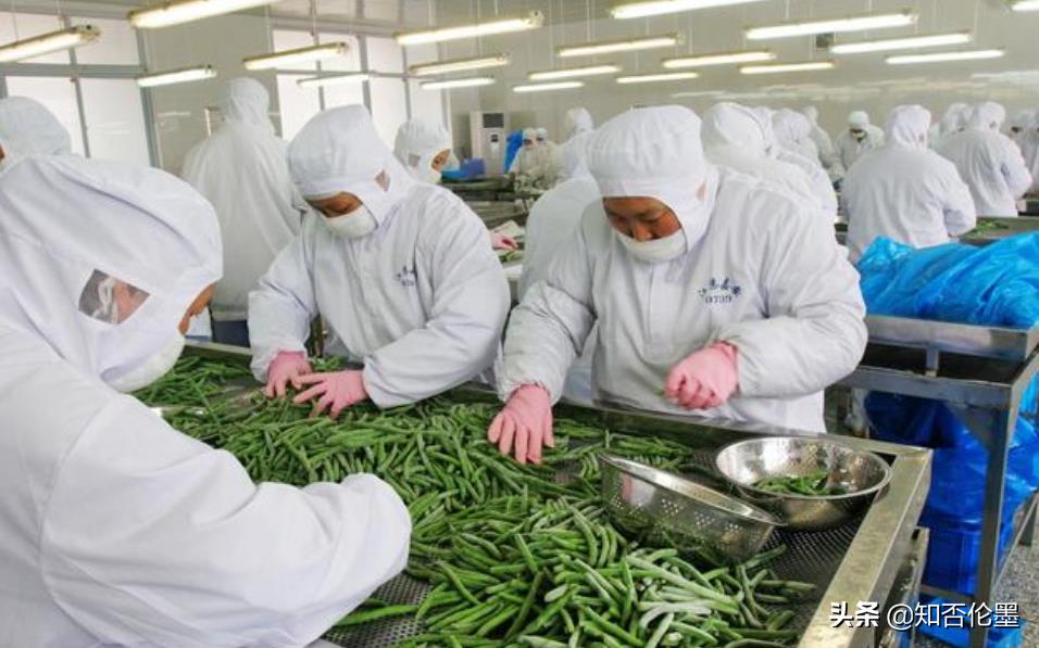 农村“小型加工厂”做什么好？这3个项目“钱”景可观，不愁销路