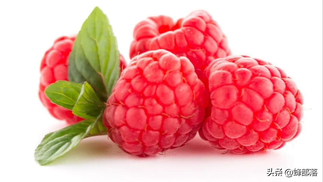 2021年农村发展,这些项目投资不多利润高,管理好赚50万是可能的