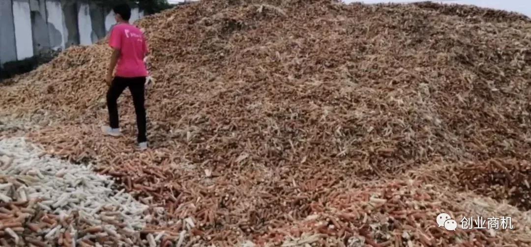 这些不起眼的小本生意,做好了一年也能赚几十万