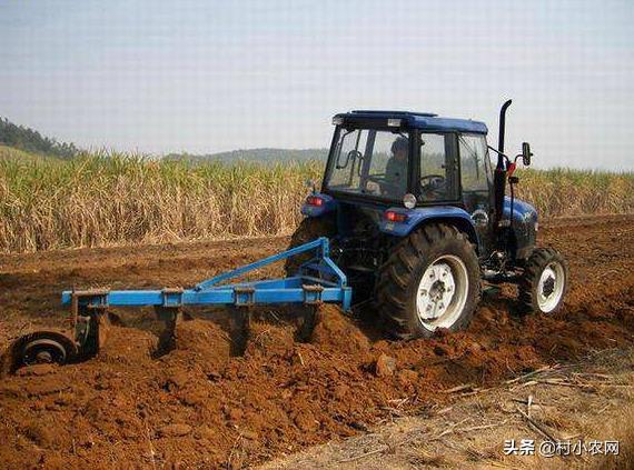 农村创业种啥养啥赚钱快?这22个农村创业项目,总有1个适合你