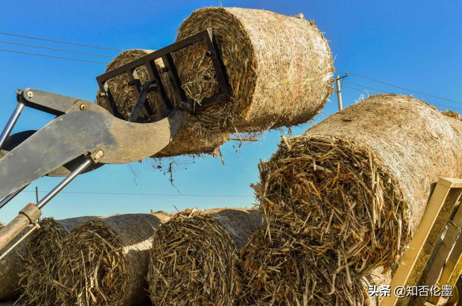 在农村开一个什么加工厂比较“赚钱”？这几个不错，利润大风险低