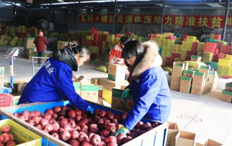 未来5~10年，农村哪些生意“钱”景突出？3个行业潜力大